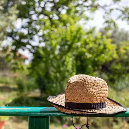 Drommire A S'accodoro شقة *